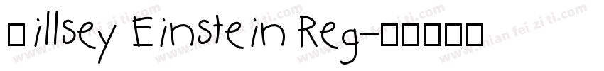 Qillsey Einstein Reg字体转换